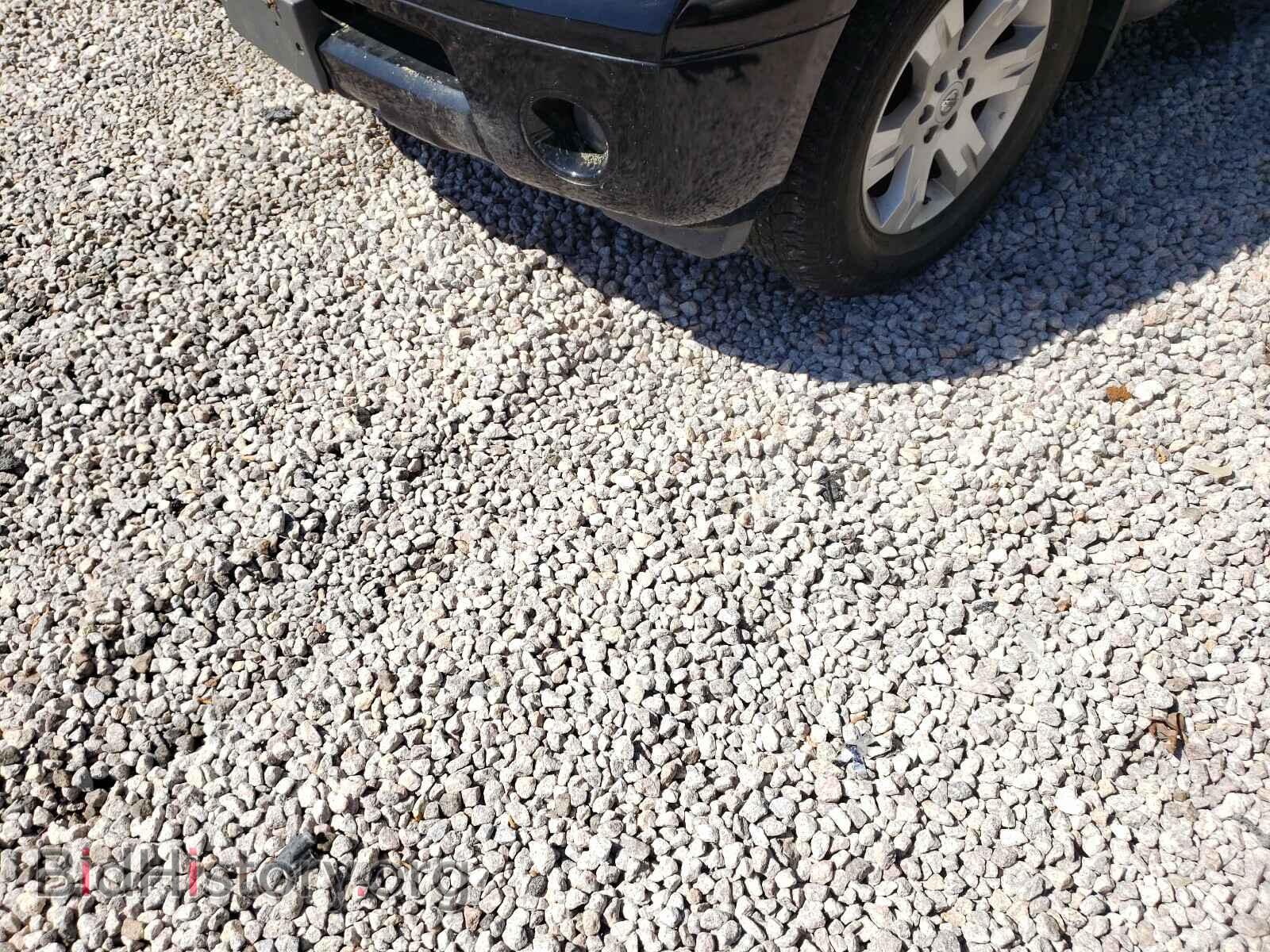 2006 NISSAN PATHFINDER - VIN: 5N1AR18W16C608394 - Фото 9