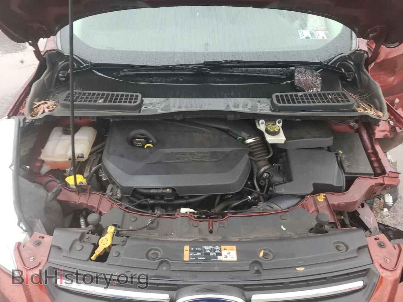 2014 FORD ESCAPE - VIN: 1FMCU0GX8EUE50365 - Photo 12