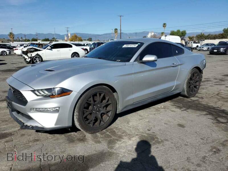 2019 Ford ALL MODELS (VIN 1FA6P8TH2K5185976) — фото 1 из 12, Copart, повреждение: задняя часть