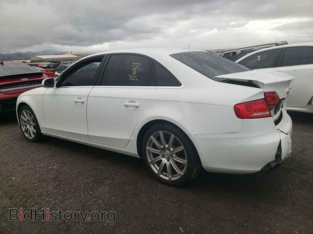 2011 AUDI A4 - VIN: WAUFFAFL7BN003545 - Фото 2