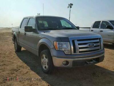 2010 Ford F150 F150 Super, серый — VIN 1FTEW1C85AFA60656, Copart