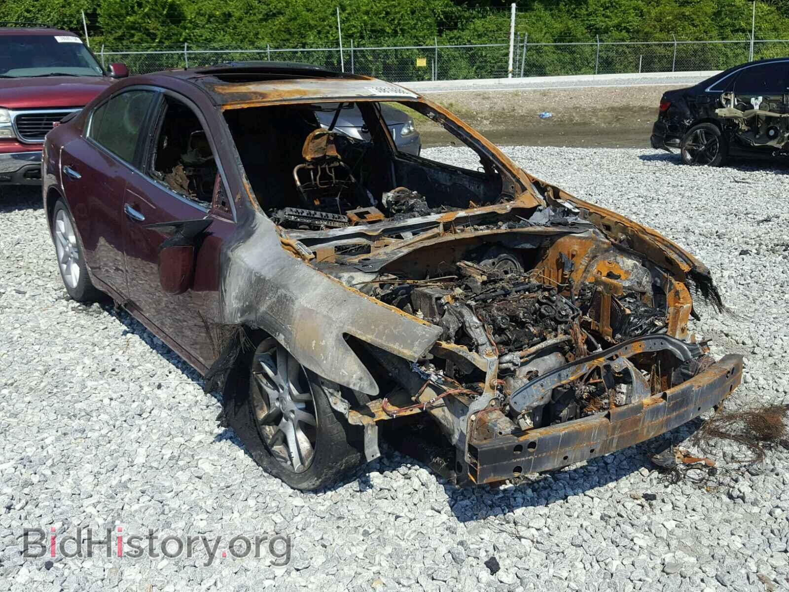 Фотография 1N4AA5AP8DC804499 - NISSAN MAXIMA S 2013