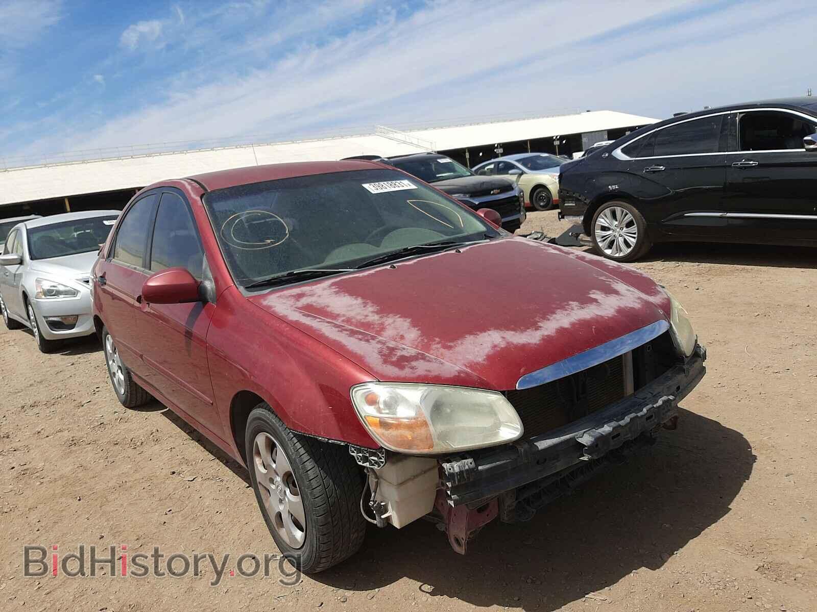 Фотография KNAFE121285584114 - KIA SPECTRA 2008