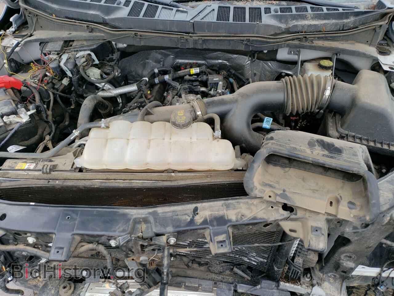 2021 FORD F-150 - VIN: 1FTEW1EP3MKD26059 - Фото 11