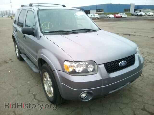 Photo 1FMYU03177KA05959 - FORD ESCAPE 2007