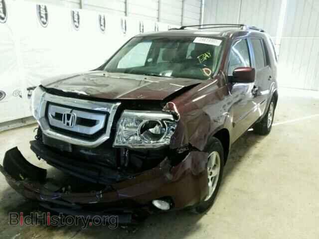 2010 HONDA PILOT - VIN: 5FNYF4H62AB006144 - Фото 2