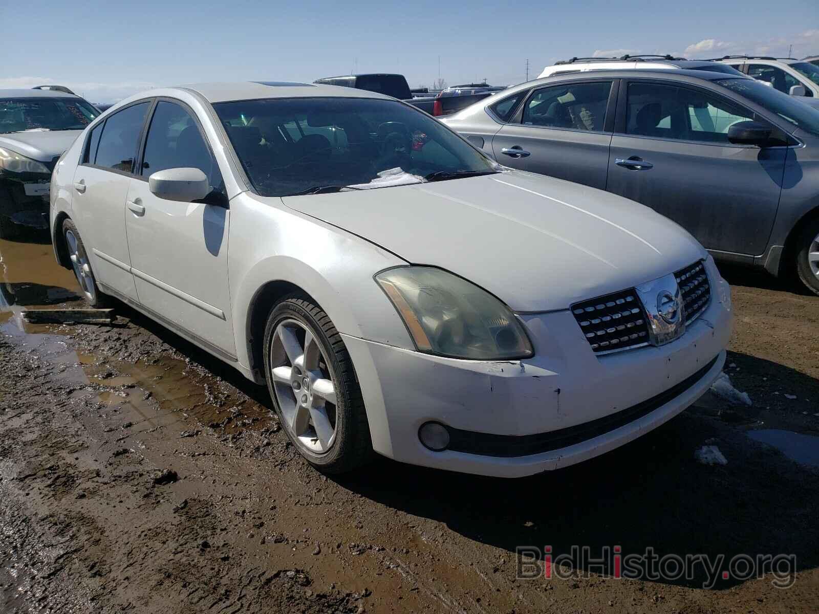 Photo 1N4BA41E66C810558 - NISSAN MAXIMA 2006