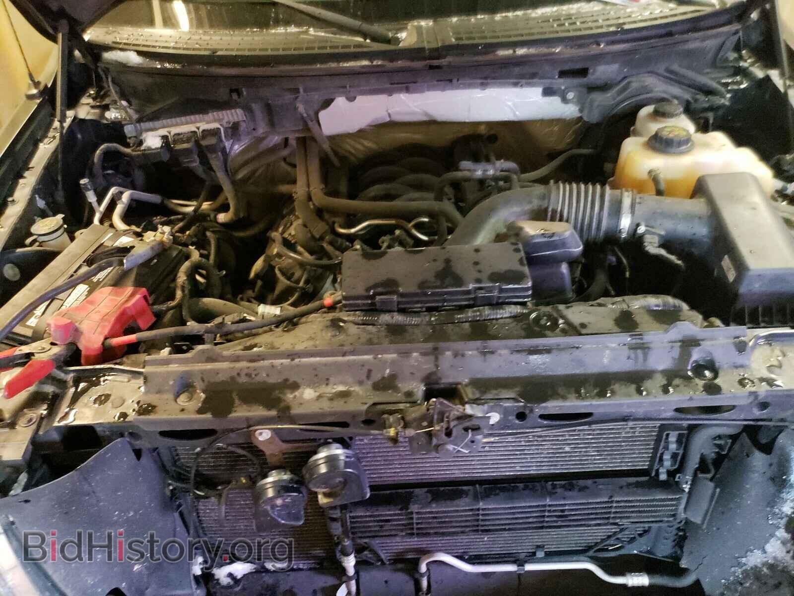 2013 FORD F150 - VIN: 1FTFX1EF4DFD26802 - Фото 7