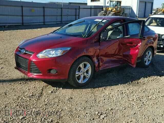 2013 FORD FOCUS - VIN: 1FADP3F27DL150639 - Фото 2
