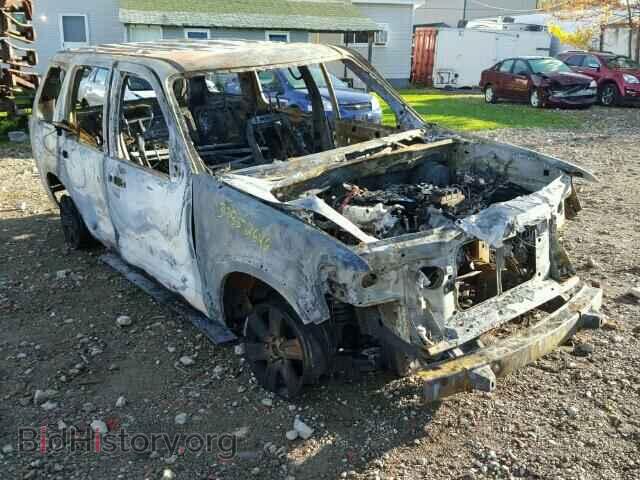 Photo 1FMEU7DE4AUA24204 - FORD EXPLORER 2010