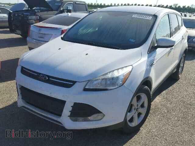 2014 FORD ESCAPE - VIN: 1FMCU0GX9EUA61699 - Фото 2