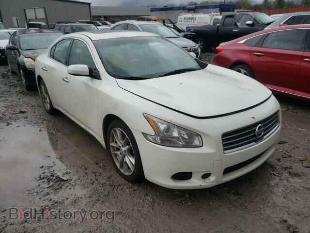 Photo 1N4AA5AP1AC818630 - NISSAN MAXIMA 2010