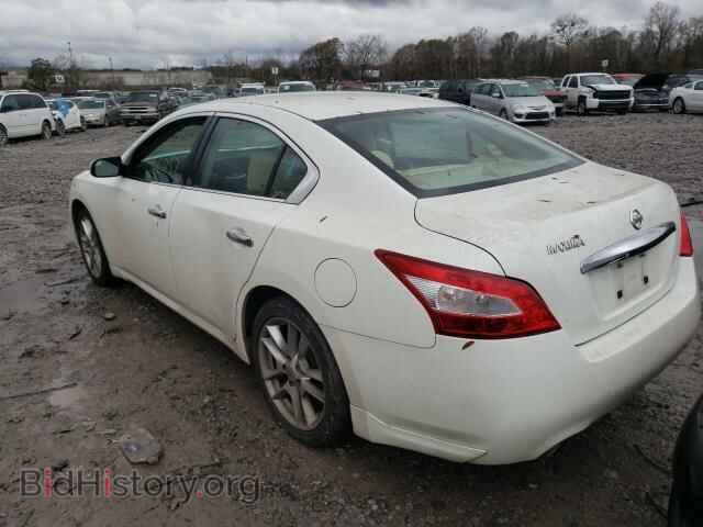 2010 NISSAN MAXIMA - VIN: 1N4AA5AP1AC818630 - Photo 3