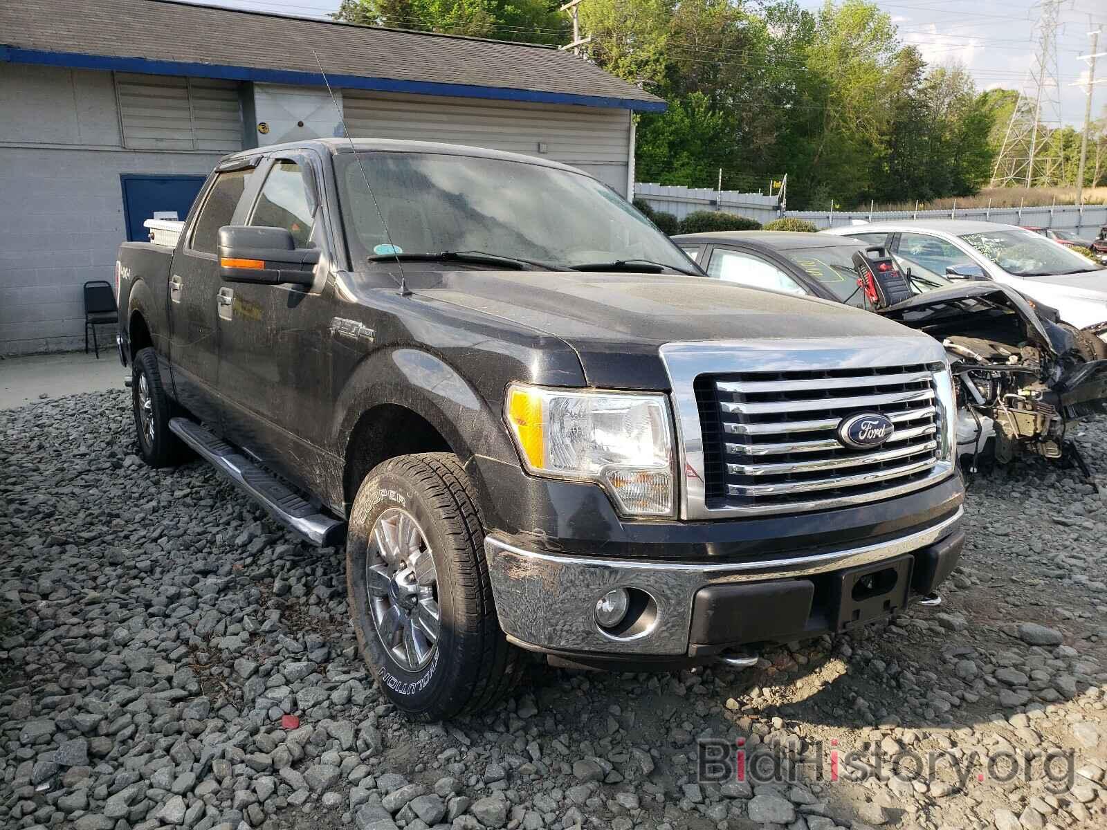 Photo 1FTEW1E88AFD74590 - FORD F150 2010