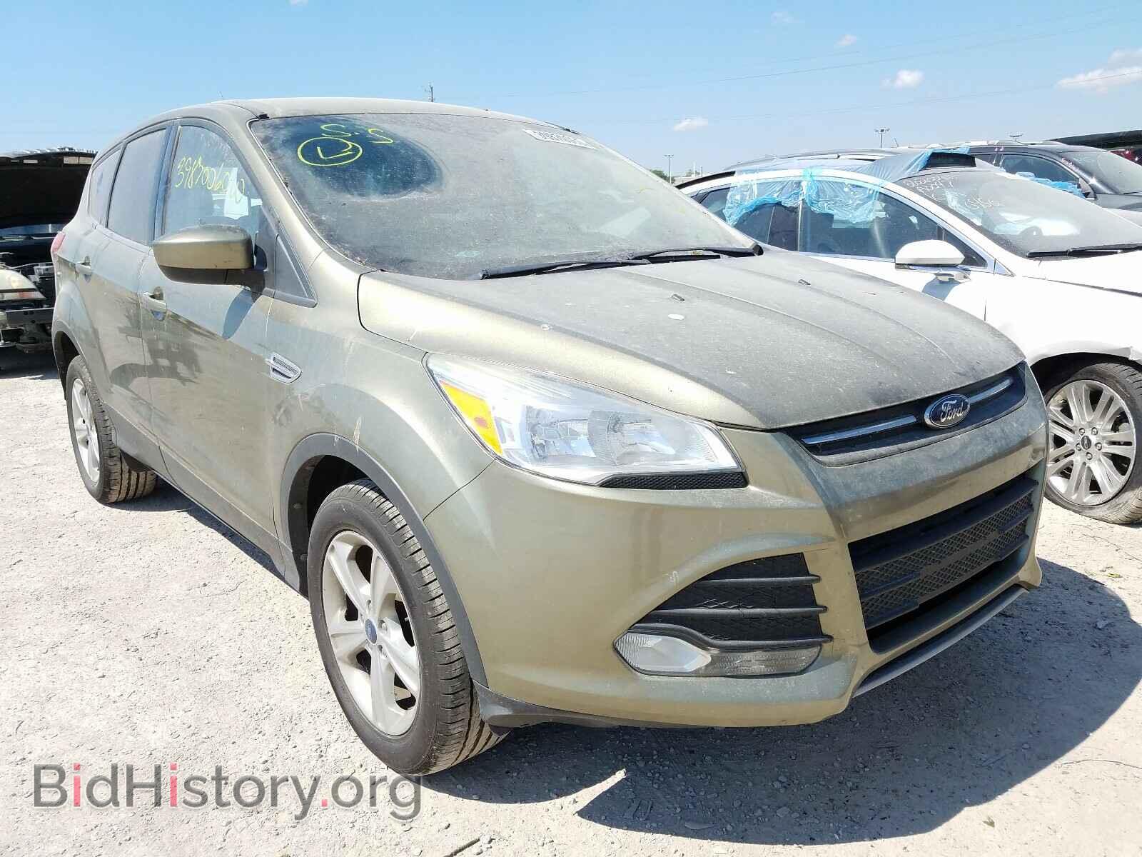 Photo 1FMCU0GX1DUD14657 - FORD ESCAPE 2013