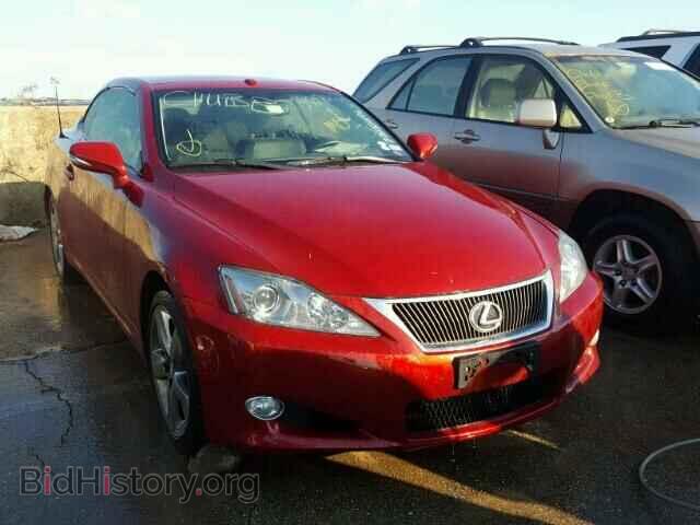 Photo JTHFF2C24A2501074 - LEXUS IS 250 2010
