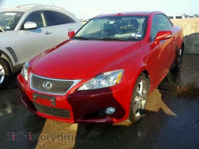 2010 LEXUS IS 250 - VIN: JTHFF2C24A2501074 - Фото 2