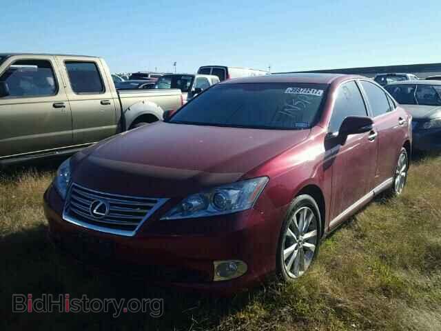 2012 LEXUS ES 350 - VIN: JTHBK1EG8C2502650 - Фото 2