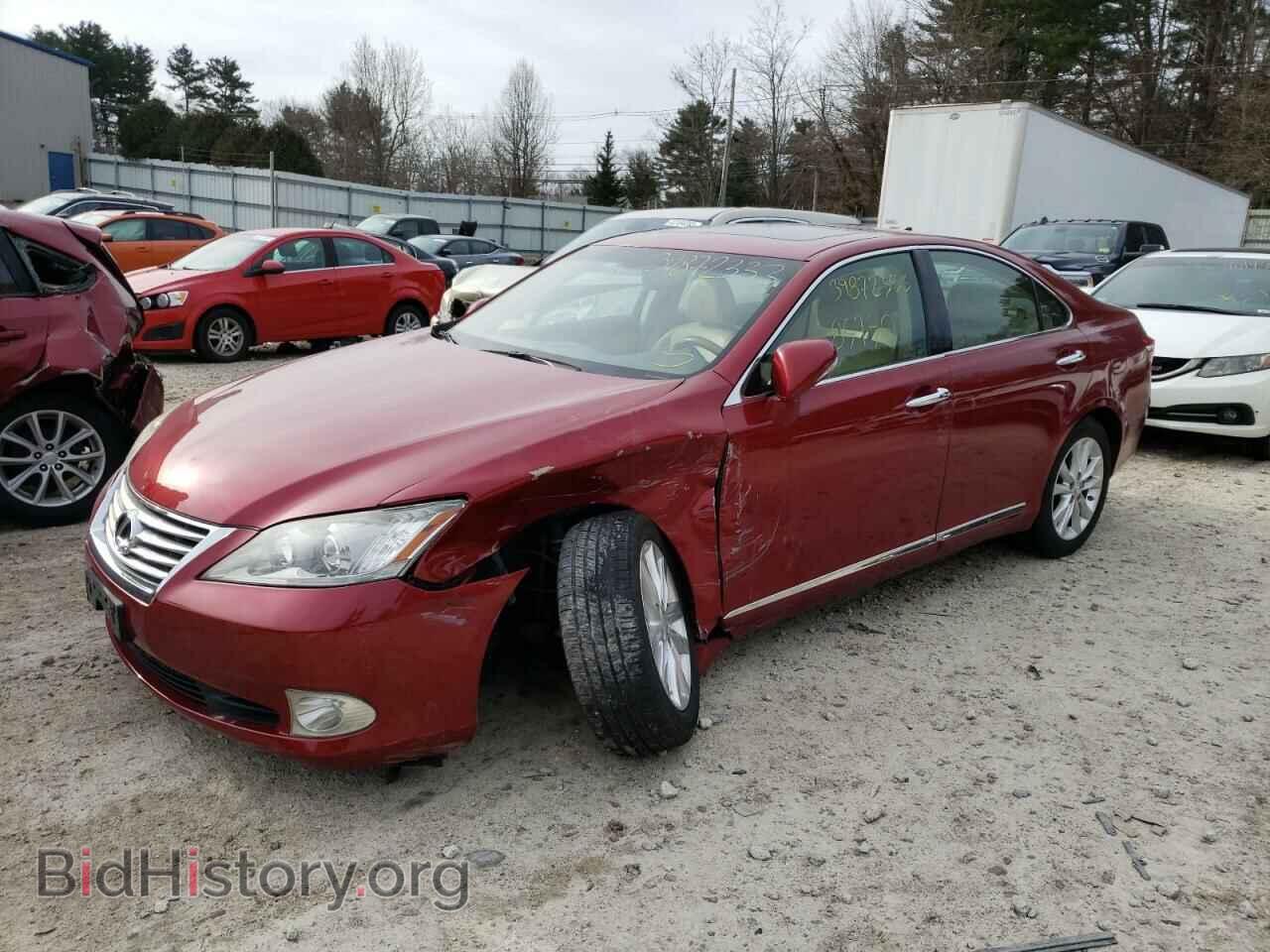 Фотография JTHBK1EG8A2355596 - LEXUS ES350 2010