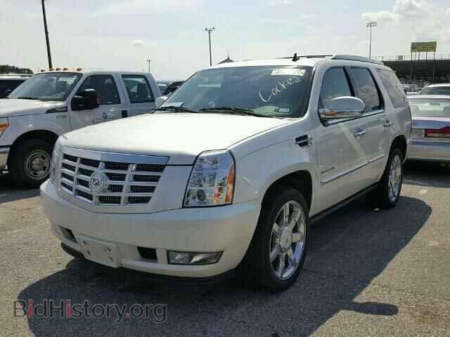2010 CADILLAC ESCALADE - VIN: 1GYUCCEF4AR199486 - Фото 2