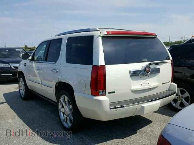 2010 CADILLAC ESCALADE - VIN: 1GYUCCEF4AR199486 - Фото 3