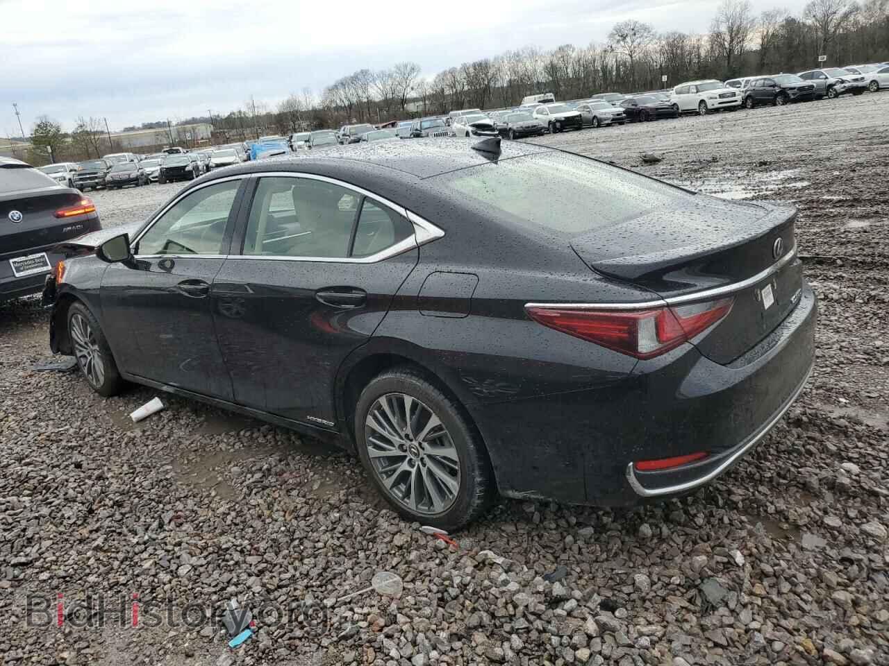 2019 LEXUS ES300 - VIN: JTHB21B11K2004207 - Фото 2