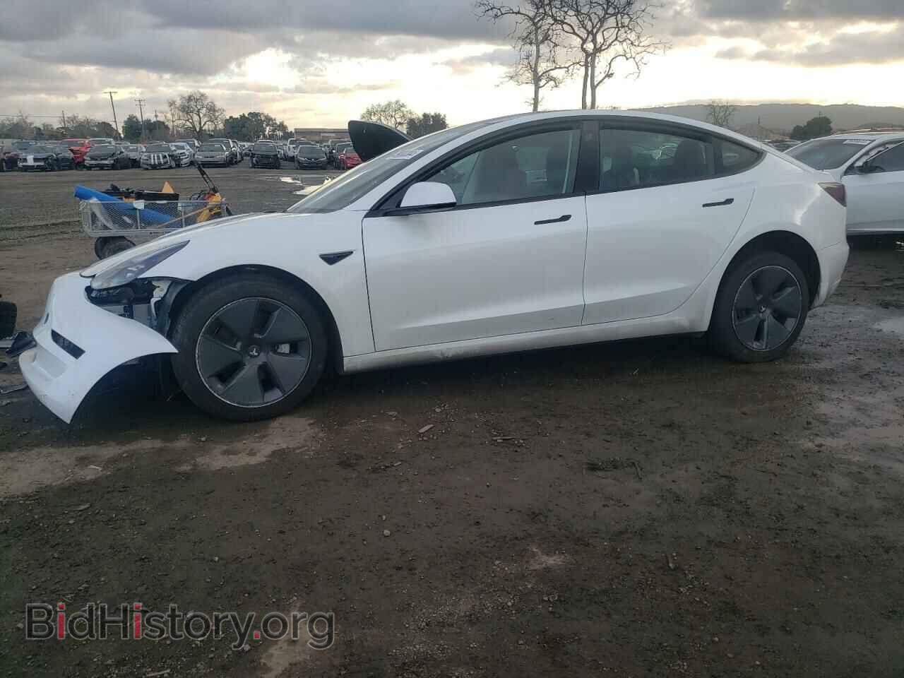 Photo 5YJ3E1EA2PF575878 - TESLA MODEL 3 2023