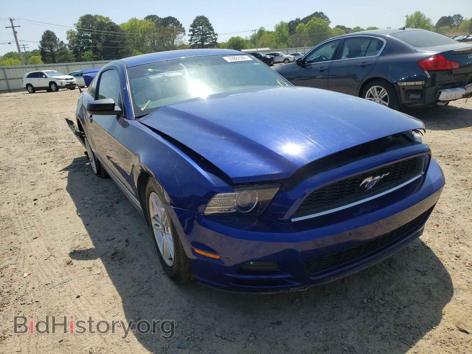 Photo 1ZVBP8AM9D5240514 - FORD MUSTANG 2013