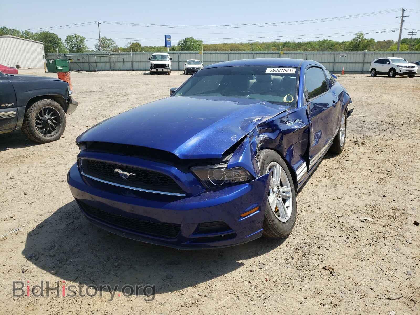 2013 FORD MUSTANG - VIN: 1ZVBP8AM9D5240514 - Фото 2