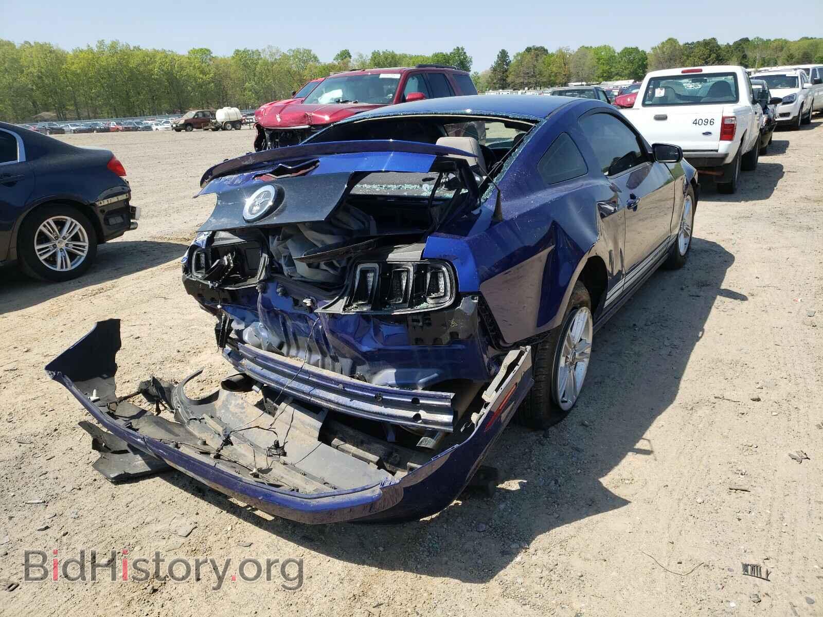 2013 FORD MUSTANG - VIN: 1ZVBP8AM9D5240514 - Фото 4