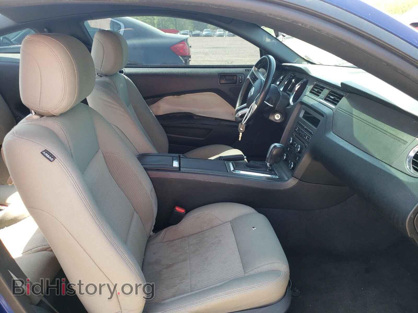 2013 FORD MUSTANG - VIN: 1ZVBP8AM9D5240514 - Фото 5