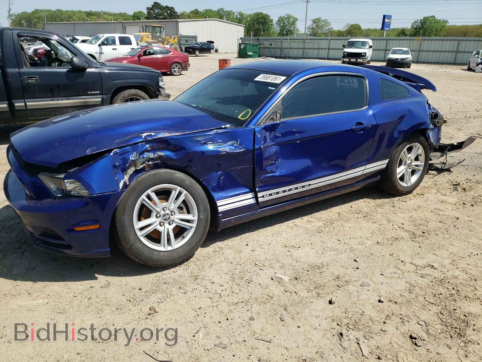 2013 FORD MUSTANG - VIN: 1ZVBP8AM9D5240514 - Фото 9