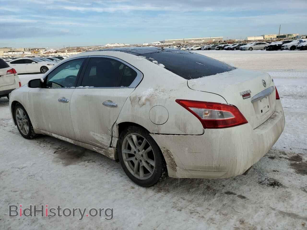 2011 NISSAN MAXIMA - VIN: 1N4AA5AP4BC824309 - Фото 2