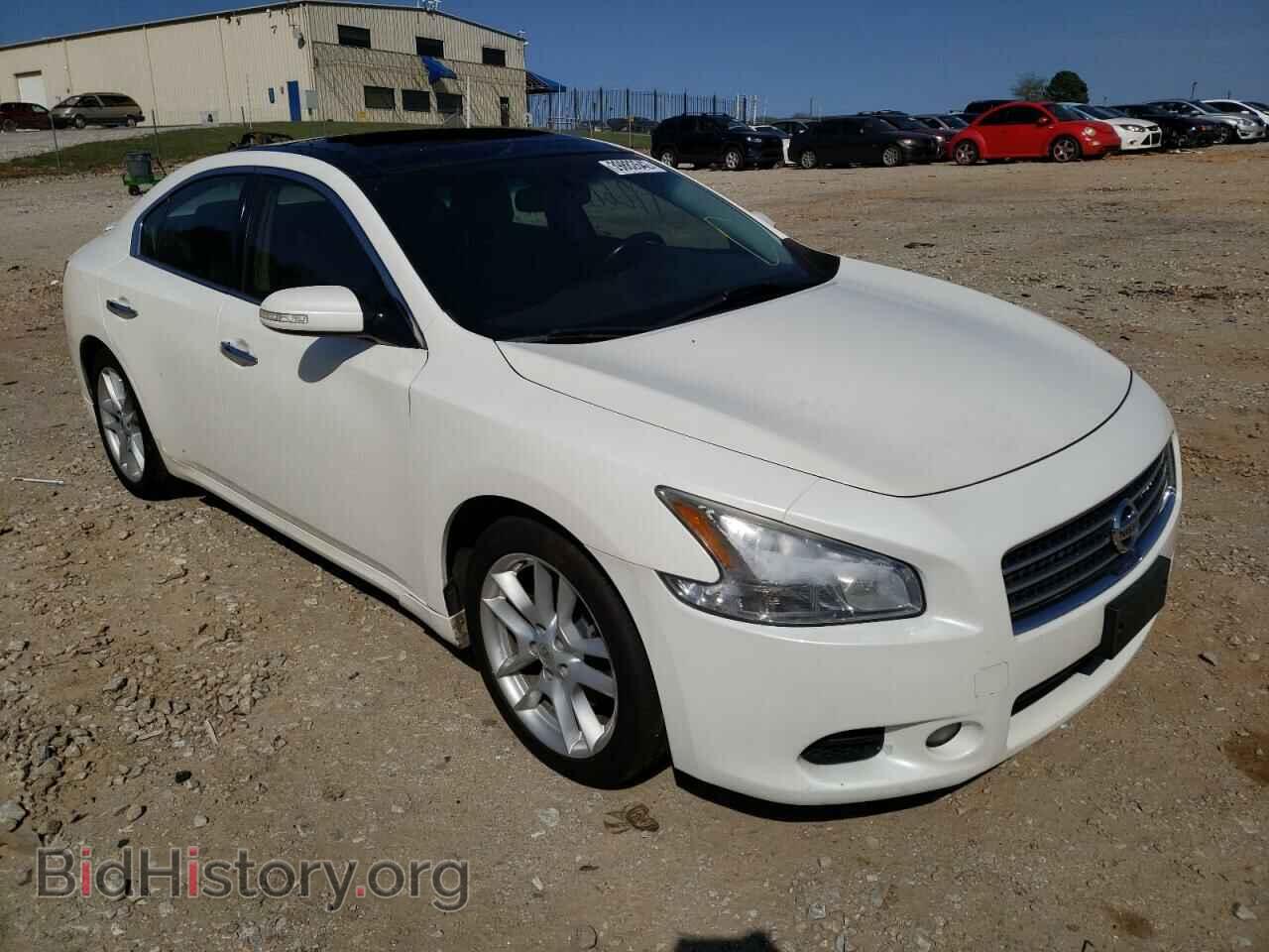 Photo 1N4AA5AP0BC816417 - NISSAN MAXIMA 2011