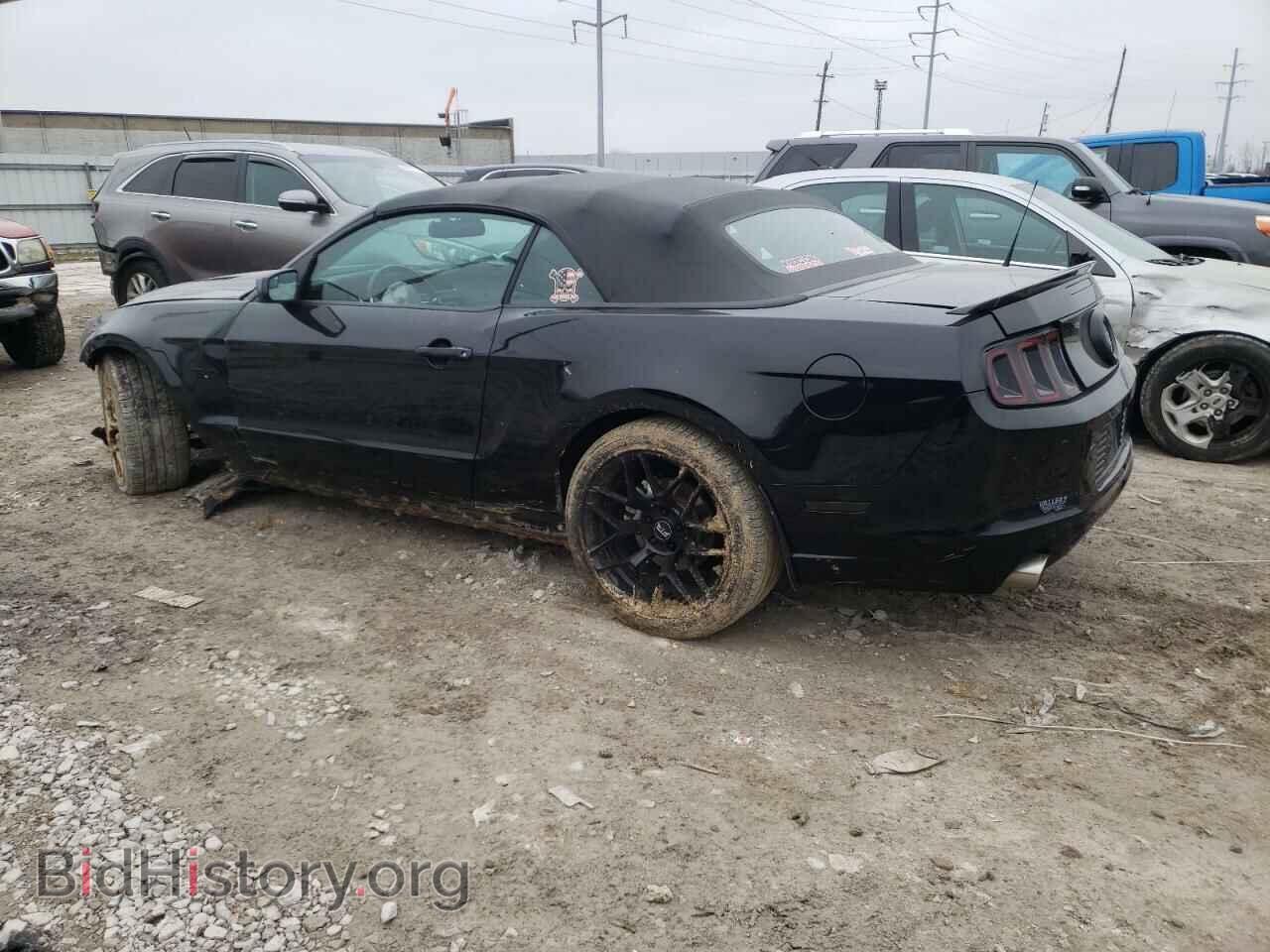 2014 FORD MUSTANG - VIN: 1ZVBP8FF4E5303501 - Фото 2