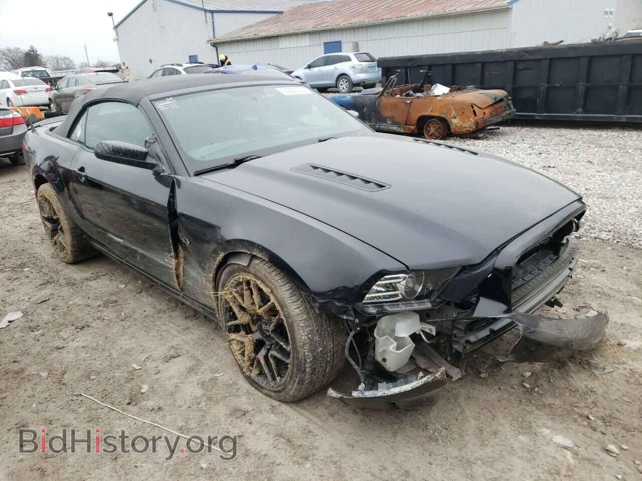 2014 FORD MUSTANG - VIN: 1ZVBP8FF4E5303501 - Фото 4