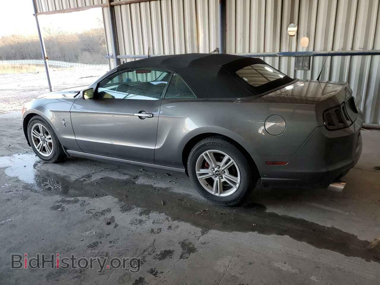 2013 FORD MUSTANG - VIN: 1ZVBP8EM3D5272448 - Фото 2