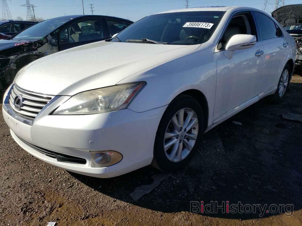 Фотография JTHBK1EG6B2440602 - LEXUS ES350 2011