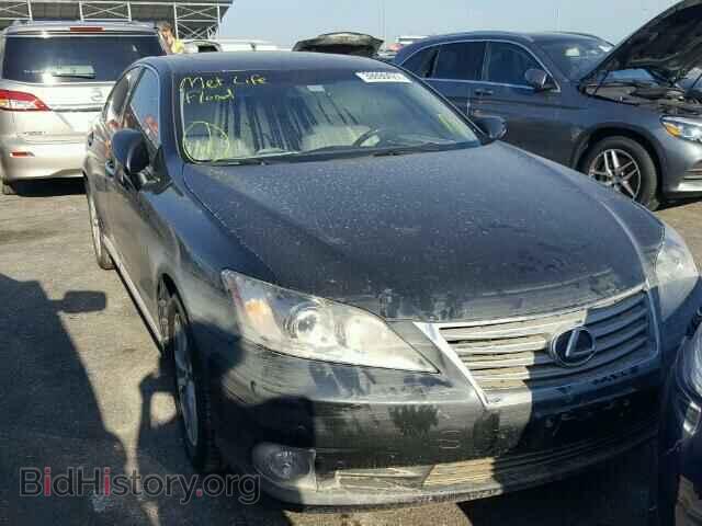 Фотография JTHBK1EG9A2372469 - LEXUS ES 350 2010