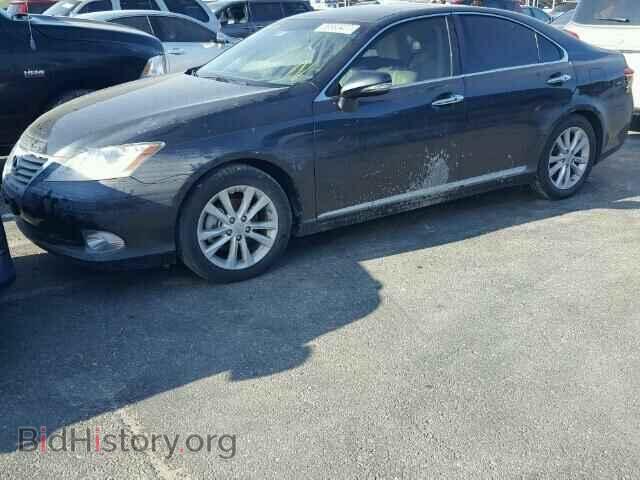 2010 LEXUS ES 350 - VIN: JTHBK1EG9A2372469 - Фото 2