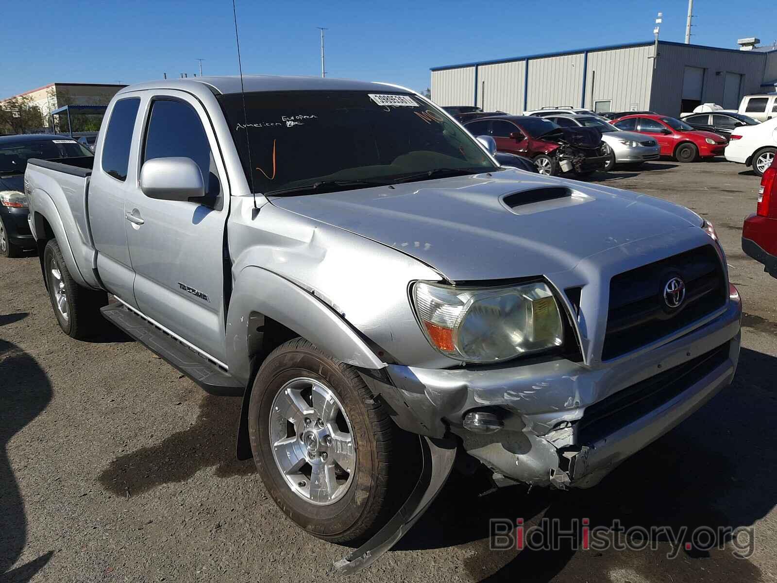 Фотография 5TETU62N17Z330219 - TOYOTA TACOMA 2007