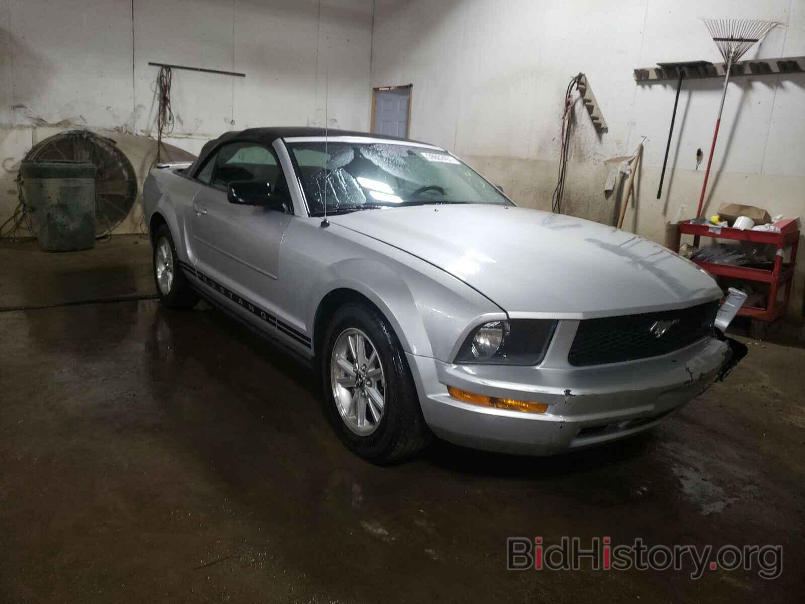 Photo 1ZVHT84NX85181182 - FORD MUSTANG 2008