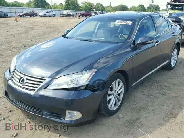 2010 LEXUS ES 350 - VIN: JTHBK1EG3A2410312 - Фото 2