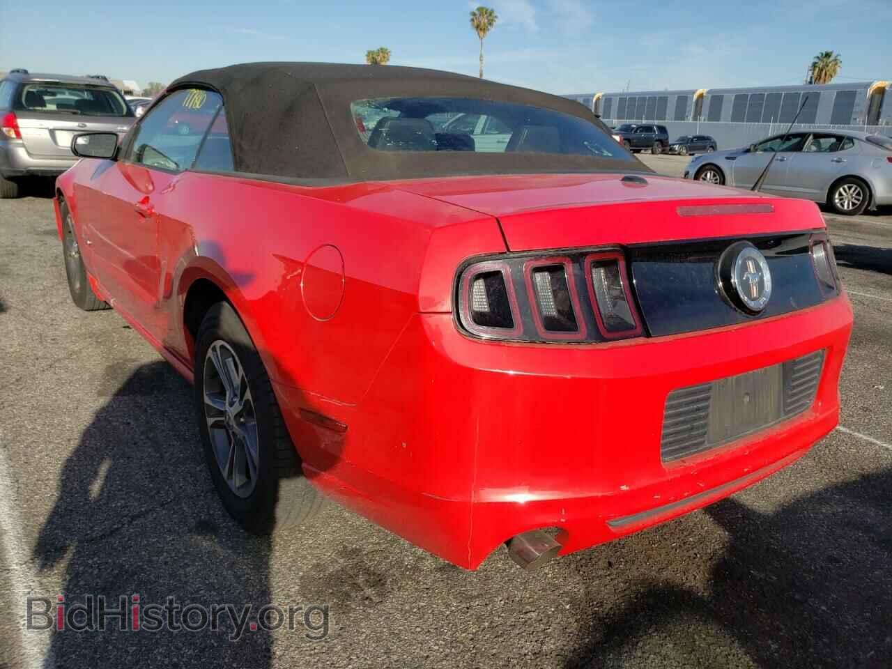 2013 FORD MUSTANG - VIN: 1ZVBP8EM3D5243578 - Фото 3