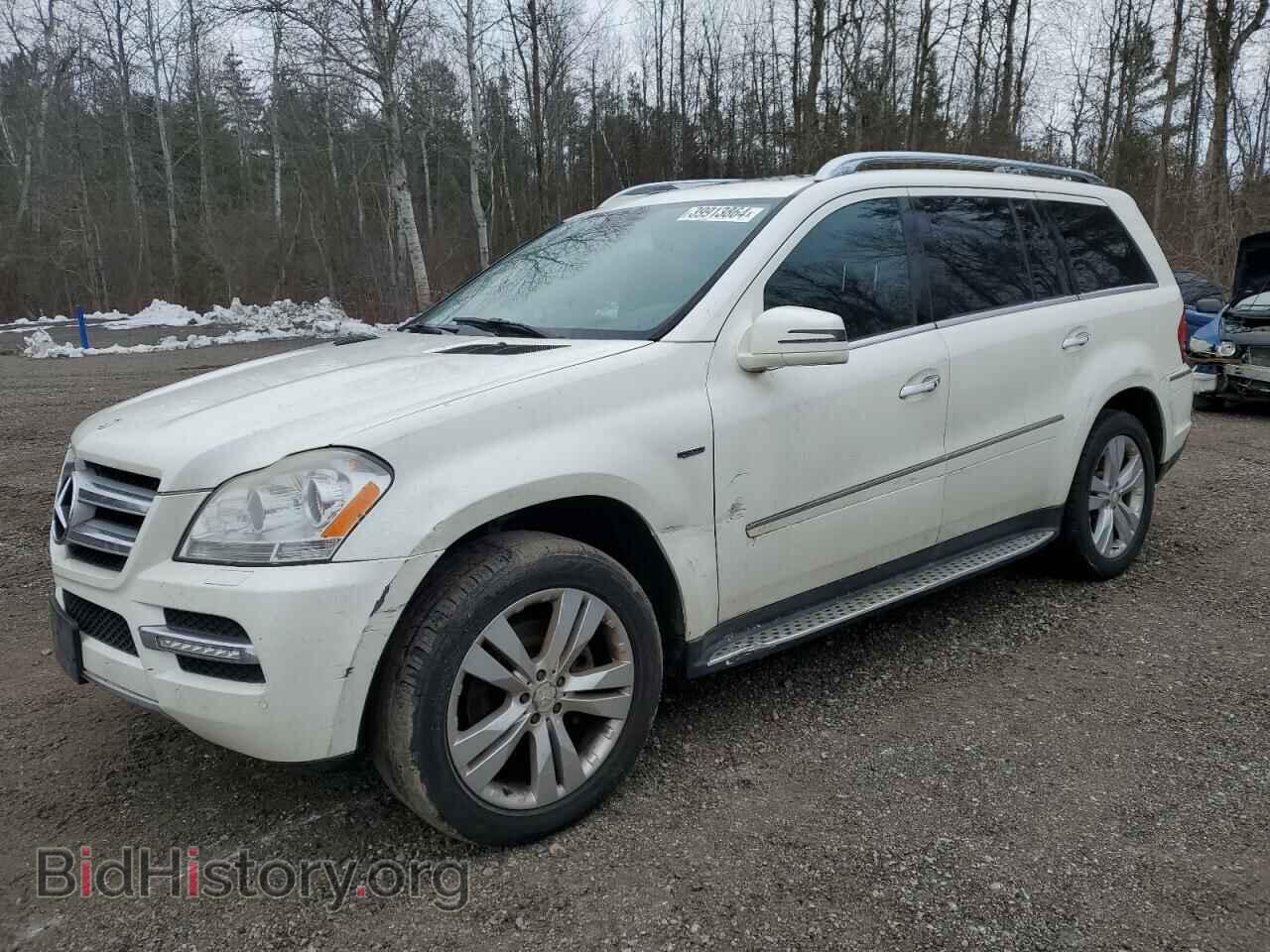 Photo 4JGBF2FE3BA647300 - MERCEDES-BENZ GL-CLASS 2011
