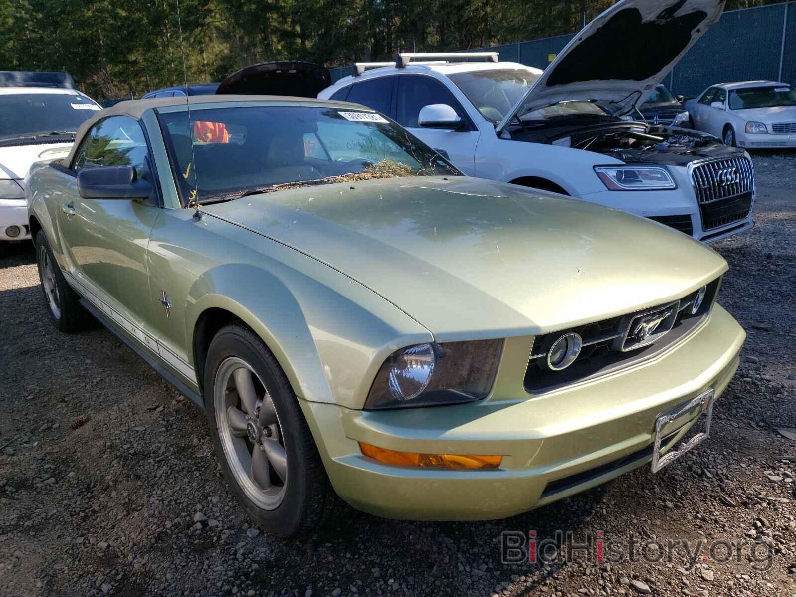 Photo 1ZVFT84N165182760 - FORD MUSTANG 2006