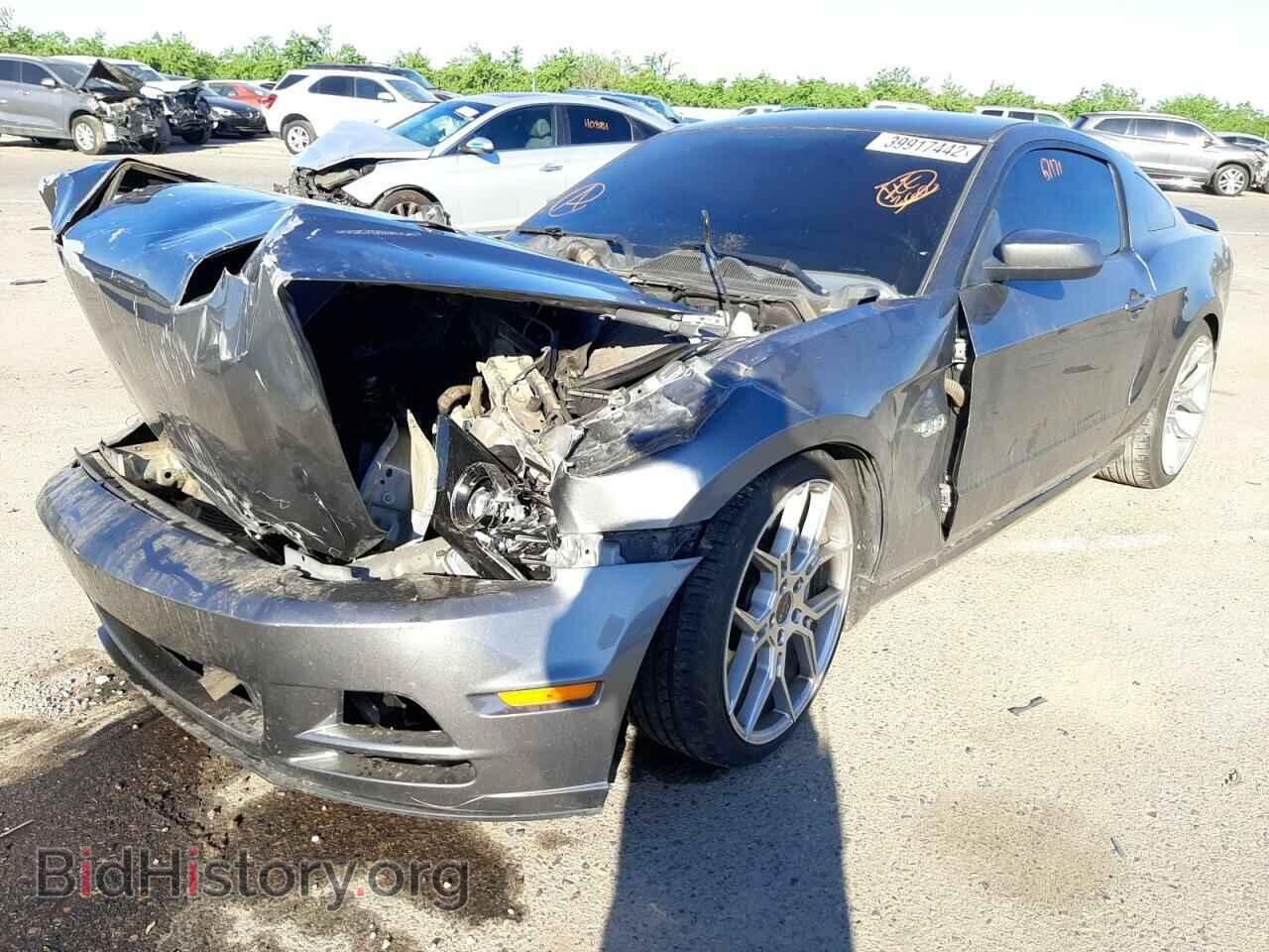 2014 FORD MUSTANG - VIN: 1ZVBP8CF4E5250562 - Фото 2