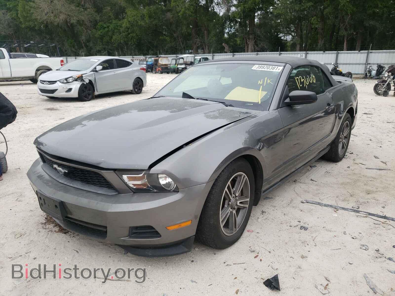 2011 FORD MUSTANG - VIN: 1ZVBP8EM7B5144498 - Фото 2