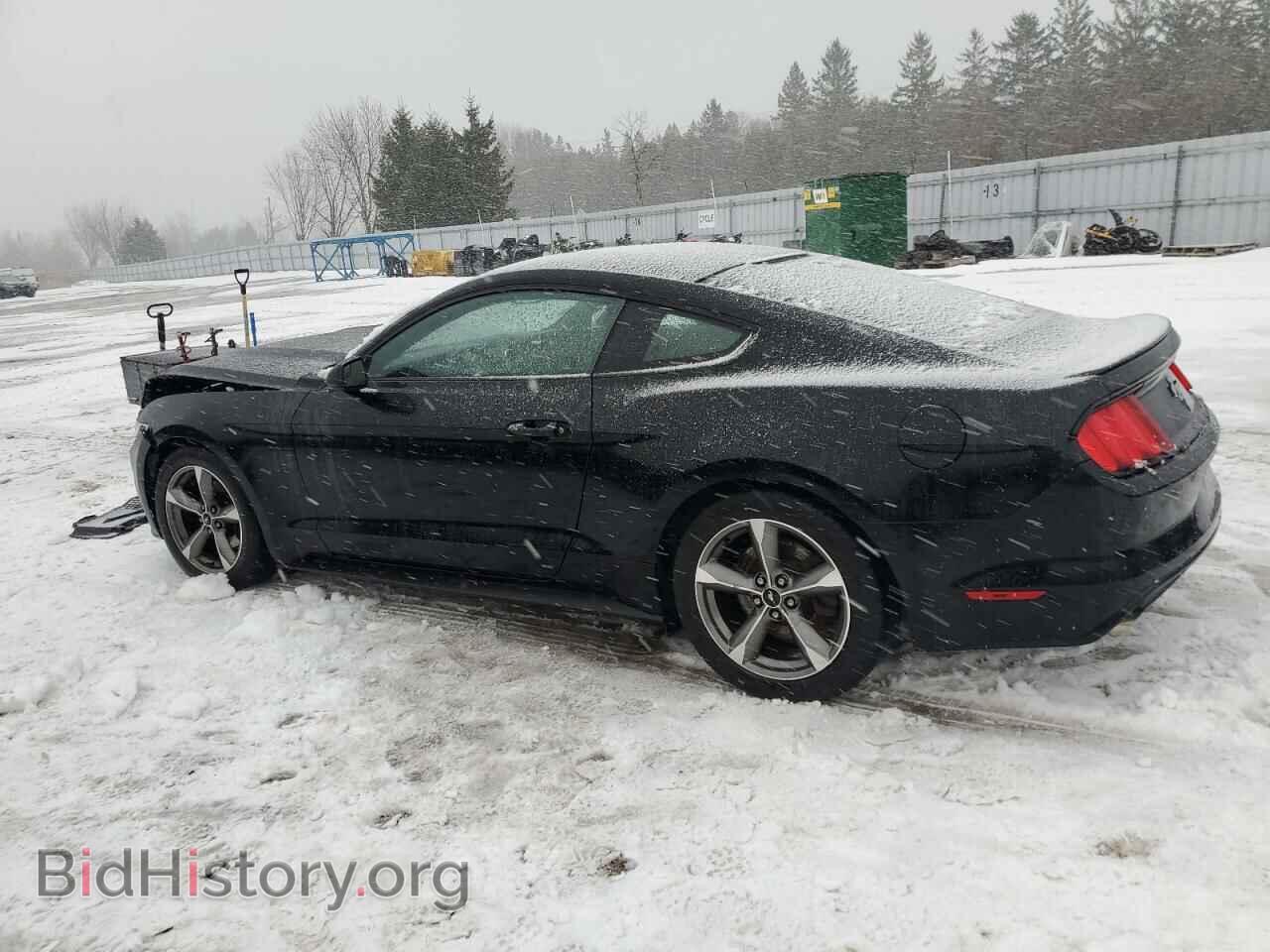 2017 FORD ALL Models - VIN: 1FA6P8AM2H5294317 - Photo 2