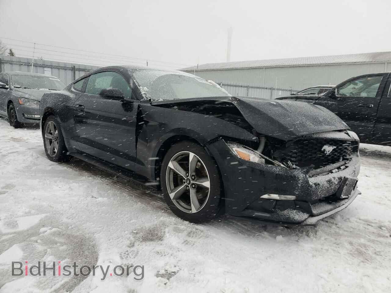 2017 FORD ALL Models - VIN: 1FA6P8AM2H5294317 - Photo 4